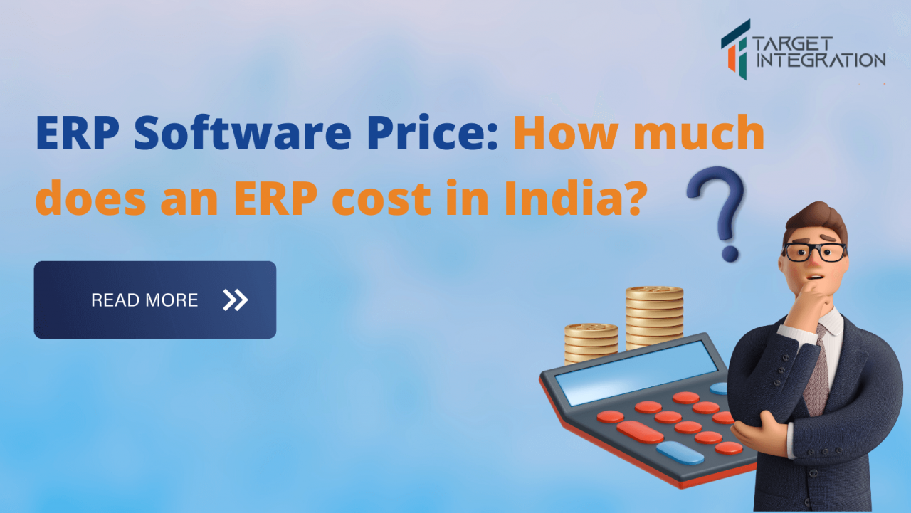 Low cost erp for small business in india