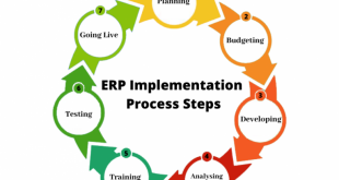 Erp implementation consultant
