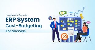 Low cost erp systems